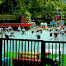 Eikando-Kindergarten.gif