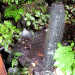 Ginkakuji-MiniGarden.gif