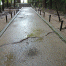 Honenin-Entrance3.gif