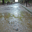 Honenin-Entrance5.gif