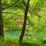 Kinkakuji-Garden.gif