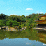 Kinkakuji-GoldenPavilion6.gif