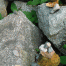 Kiyomizu-Rocks2.gif
