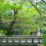 Kyoto-PhilosopherPath3.gif