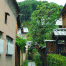 Kyoto-Street2.gif