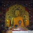 P1020506Ds