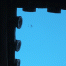 Nara-Yakushiji-Spider.gif