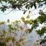 P1030275Ds