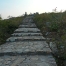 P1030284Ds