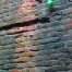 P1030137Ds