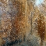 P1030334Ds