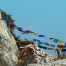 P1030190Ds