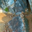 P1030205Ds