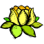 Understanding Amituofo via the Amitabha Sutra