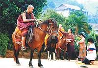 A Horse Brotherhood