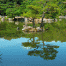 Kinkakuji-Pond.gif
