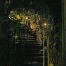 Kyoto-Stairway.gif